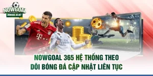 Nowgoal 365