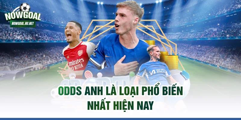 Odds Anh là loại phổ biến nhất hiện nay
