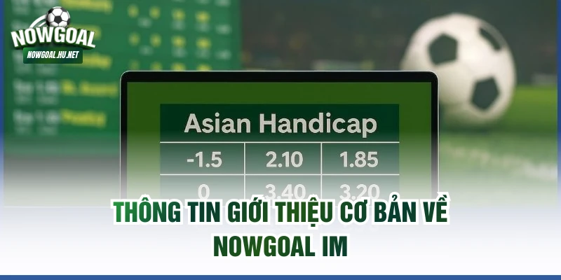 Thông tin giới thiệu cơ bản về Nowgoal IM