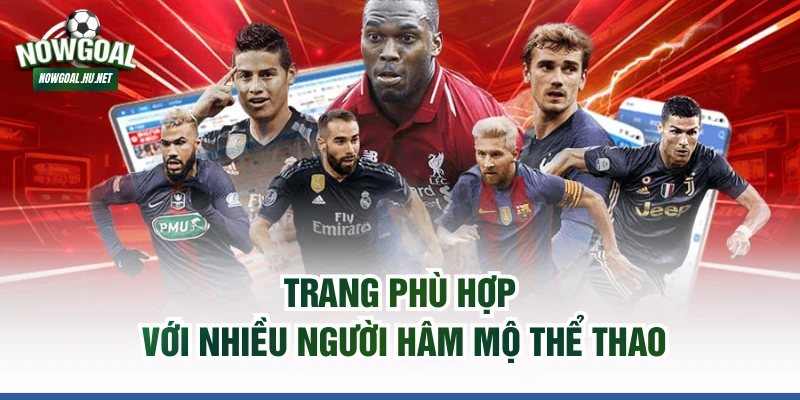 Trang phù hợp với nhiều người hâm mộ thể thao